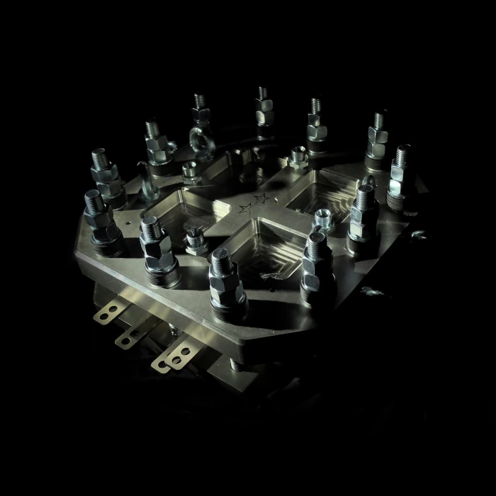 Forest Valley Ecosystem